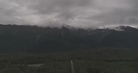Drone over road lined with Pine Tree woods Stock Footage 255319657