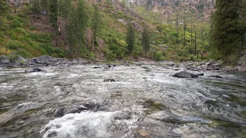 Drone Over Rocky River to Calm in Washington State Pacific Northwest Forest.. Stock Footage 345276814