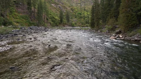 Drone Over Rocky River in Washington State Pacific Northwest Forest. Beauti.. Stock Footage 345276775