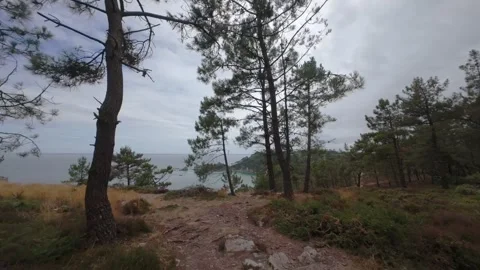 Drone over sea Stock Footage 314055037