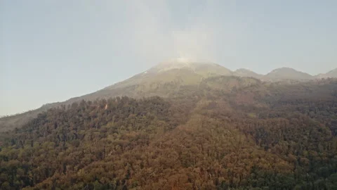 Drone Over Sunlit Forest On Mountainside Video stock 146105017