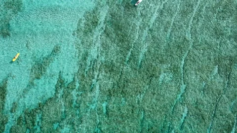 Drone over Surfer and Reef at Waikiki Beach, Honolulu, Oahu, Hawaii Stock Footage 220734311