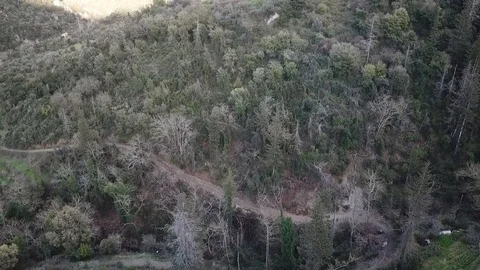Drone over Taygetos Mountain and forest in Greece 스톡 동영상 87532932