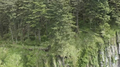 Drone over Toe Hill Haida Gwaii Stockbeeldmateriaal 158509498