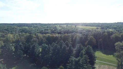 Drone over trees Stock Footage 116505644