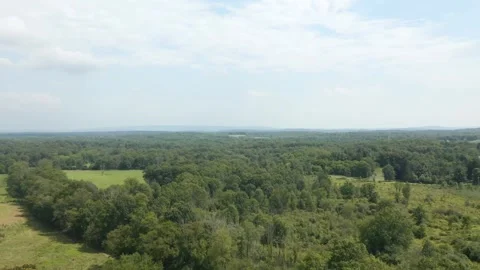 Drone over trees Video stock 251588228