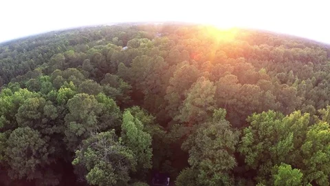Drone over trees sunset 库存影片 76275360