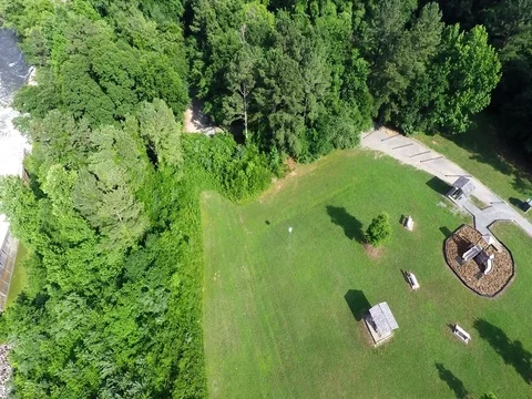 Drone over trees tilt up 库存影片 76451011