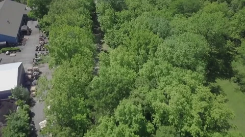 DRONE Over Treetops Stock Footage 76851129