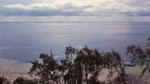 Drone over Tropical Trees to the Indian Ocean on the Kenya Coast Stock Footage 237087656