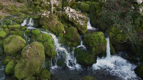 Drone over Veliko Vrelo spring and cascades, Lisine, Serbia Stock Footage 327788127