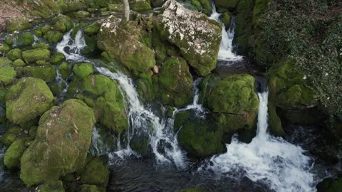 Drone over Veliko Vrelo spring and cascades, Lisine, Serbia Stock Footage 327788815