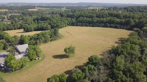 Drone over wheat Field town Stock Footage 90974741