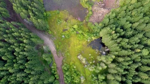 Drone Over Wild Lake 스톡 동영상 218487068
