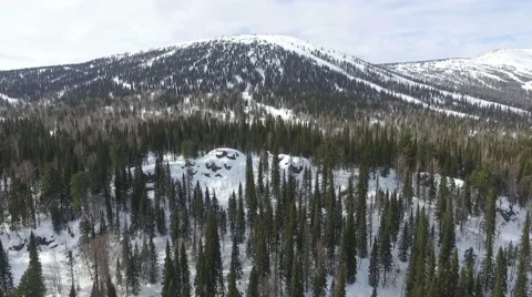 Drone Over Winter Forest Stock Footage 64334617