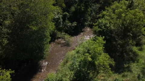Drone Over Wooded River Stock Footage 147043426