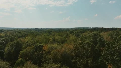 Drone over woods and trees in the fall with a beautiful blue sky. Stock Footage 252108373
