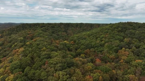 Drone over woods and trees in the fall with a beautiful blue sky. Stock Footage 286178989