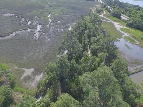 Drone Overhead Marshland 4K Vídeos de archivo 83839665