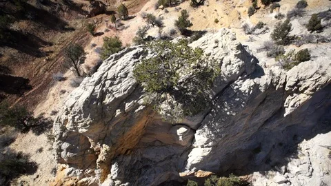  Drone OverHead Mountain Tree Stock Footage 92419024