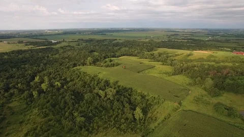 Drone Overhead Push in Green Field Video stock 92422300