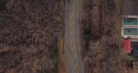 Drone overhead road dead trees Stock Footage 99210233