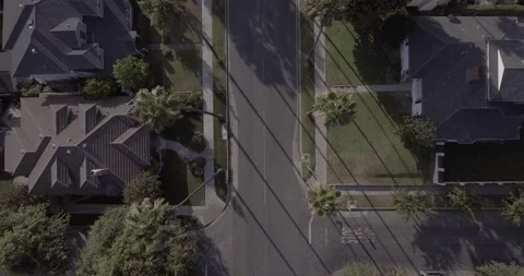 Drone Overhead Shot of a Palm Tree Lined Street With One Car Passing By Stock Footage 137764800