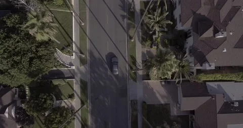 Drone Overhead Tracking Shot of Car Driving down a Palm Tree Lined Street Stock Footage 137765043
