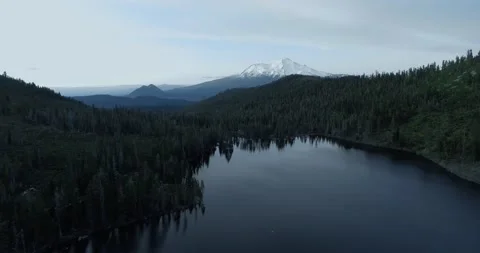 Drone overhead view of Castle Lake, Shasta-Trinity National Forest, California Video stock 165771283
