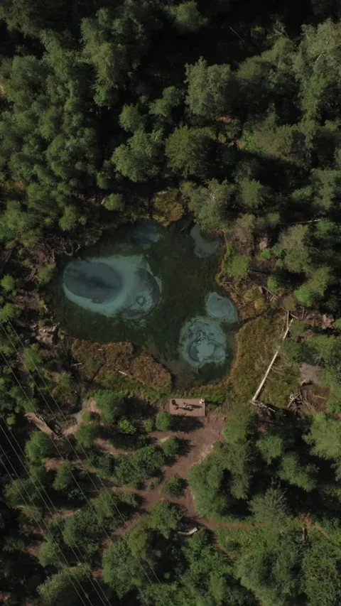 Drone overhead view of Geyser Lake turquoise spring in taiga forest, Altai Stock Footage 346556109