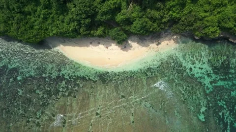 Drone Overhead View Of Hidden Bali Cove Beach, Coral Reef And Waves Stock Footage 345018542