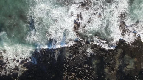 Drone overview of Sharks Cove, Laniakea Beach, North Shore, Oahu, Hawaii Video stock 306330010