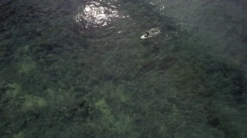 Drone Paddle surfer rides wave Stock Footage 70150099