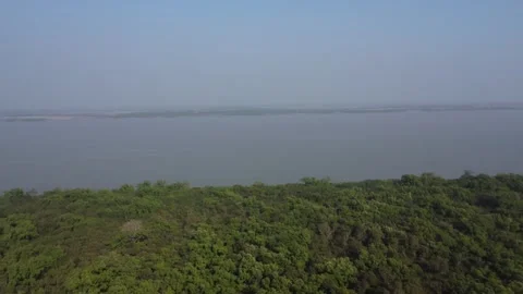 Drone Pan Along Mangrove Forest and Pashur River in the Ganges-Brahmaputra Delta Video stock 327637014