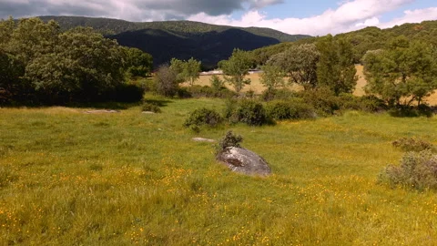 Drone Pan and Ascent From Spring Meadow to Mountain Panorama, Spain, 4K Stock-Footage 335085183