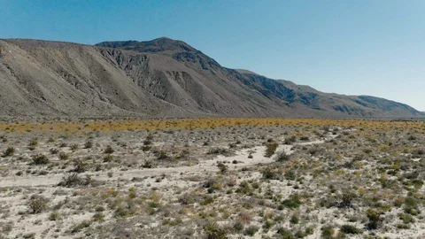 Drone pan of Anzo-Borrego State park Video stock 104786641