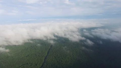 Drone Pan Clouds Over Forest Stock Footage 79183876