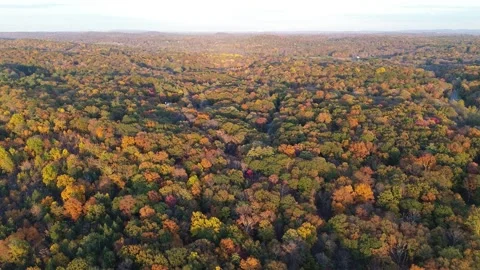 Drone Pan up on Large Area of Fall Foliage Stock Footage 265111258
