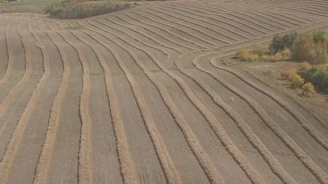  Drone Pan Left Field Alberta Stock Footage 92420816