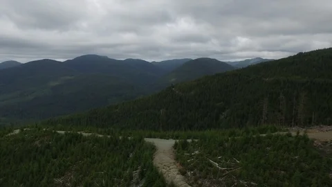  Drone Pan Left Forest Mountain  Stock Footage 92419818