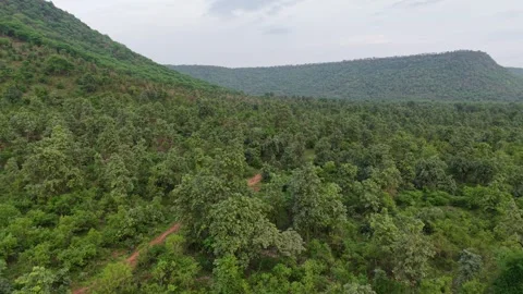 Drone-pan-left-teak-forest-mountain-hills-dirt-road-green-landscape-4k.mp4 Stock Footage 340320662