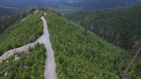 Drone Pan Up Mountains Forest Video stock 92421902
