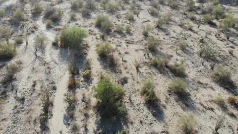 Drone pan over the Mexican Desert Stock Footage 166662437