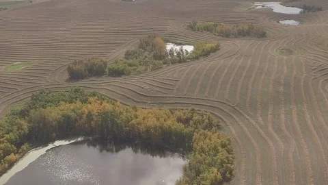  Drone Pan Right Field Alberta Stock Footage 92421221