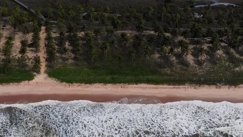 Drone panning at beach with coconut trees. Imbassaí, Bahia, Brazil Vídeo Stock 131928241