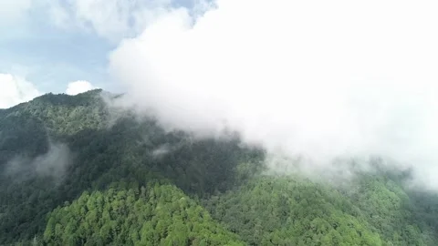 Drone panning of cloudy green forest mountain Stock Footage 136377253