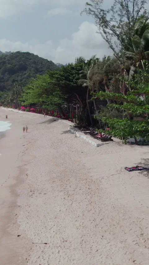 Drone panning to the left showing Beach and ocean with Trees,Sunny Daytime Stock Footage 292415648