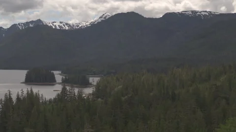 Drone Panning Up Over Trees ro Reveal Snow Capped Mountains Alaska Stock Footage 255319271