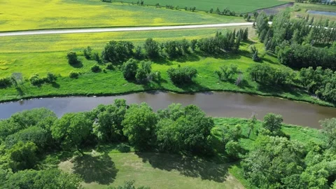 Drone panning over a winding river in a vibrant summer landscape. Stock Footage 312528001