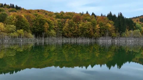 Drone Panning Right Over Scenic Cuejdel Lake. Slow Motion Video stock 289301288